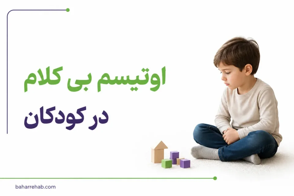 نمای توضیحی درباره بررسی مهارتهای غیرکلامی و عملکردی