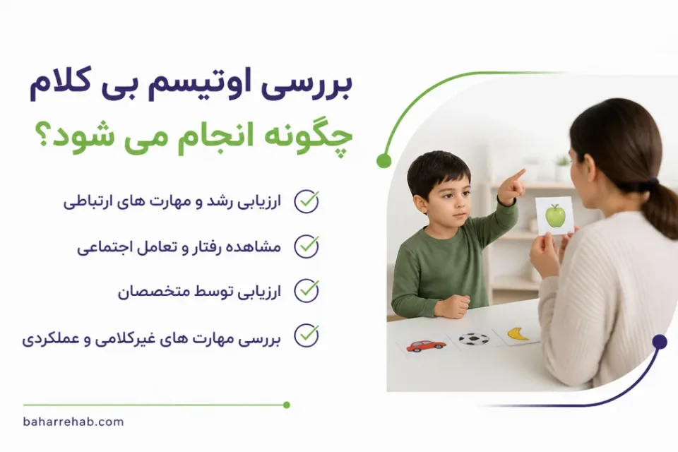 نمای توضیحی درباره بررسی مهارتهای غیرکلامی و عملکردی